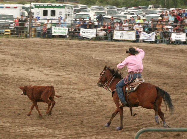 Calf Roping. Photo by Dawn Ballou, Pinedale Online.