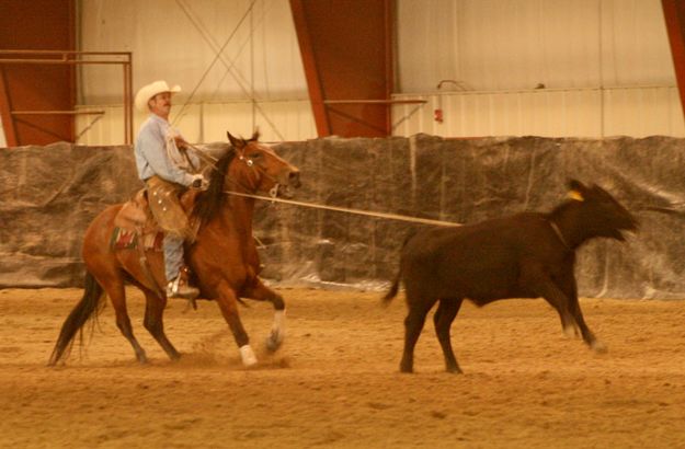 Doc Foster catches the calf. Photo by Dawn Ballou, Pinedale Online.