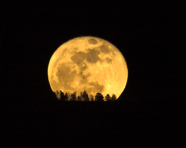 Moon Rise. Photo by Dave Bell.