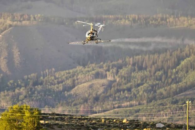 Mosquito Spraying Helicopter. Photo by Dave Bell.