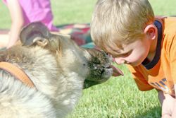 Puppy Love. Photo by Kaitlyn McAvoy, Pinedale Roundup.