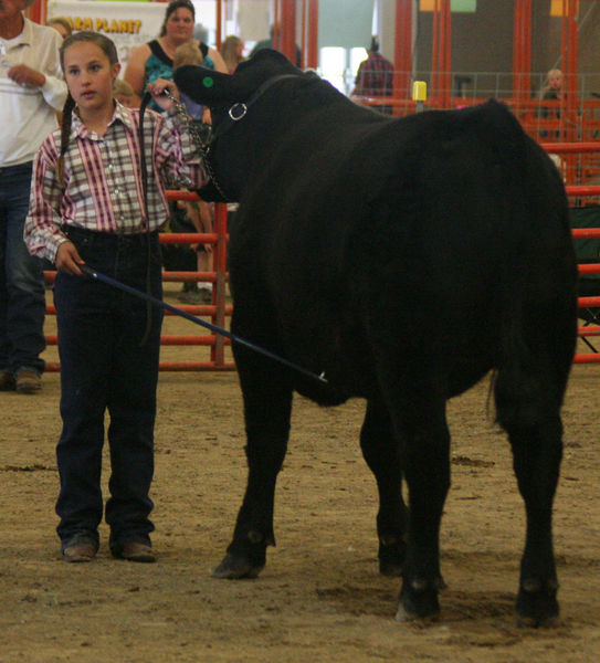 Mic Butner. Photo by Clint Gilchrist, Pinedale Online.