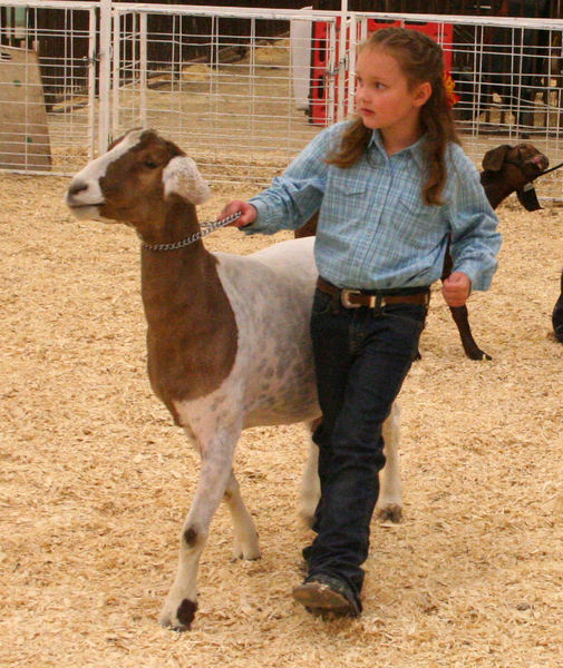 Susanna Sturman. Photo by Clint Gilchrist, Pinedale Online.