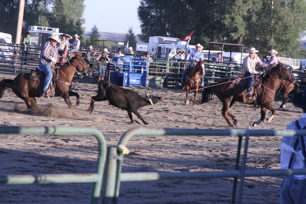 Thompson & Stevie. Photo by Pam McCulloch, Pinedale Online.