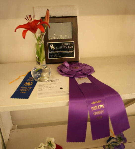 Outstanding Floriculture - Cut Flowers. Photo by Dawn Ballou, Pinedale Online.