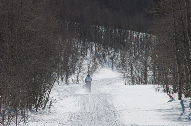 Through the willows. Photo by Chris Havener.