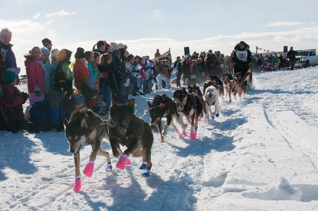 They're Off!. Photo by Chris Havener.