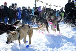 They're off!. Photo by Mari Muzzi, Sublette Examiner.