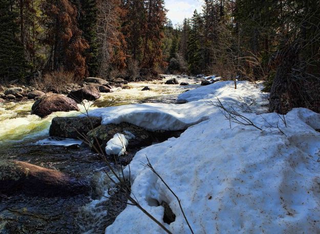 Boulder Creek. Photo by Dave Bell.