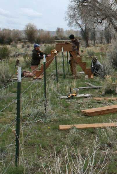 Over the fence. Photo by Dawn Ballou, Pinedale Online.