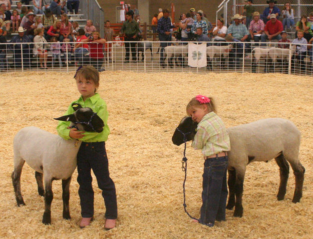 Pee Wee Showmanship. Photo by Clint Gilchrist, Pinedale Online.