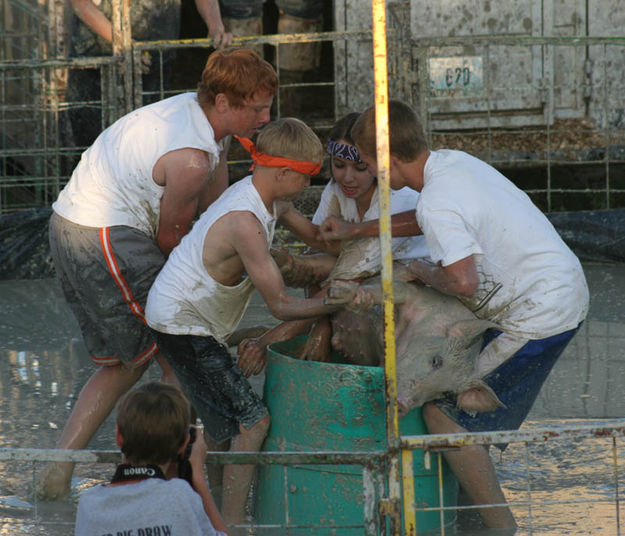 Bringing Home the Bacon. Photo by Dawn Ballou, Pinedale Online.