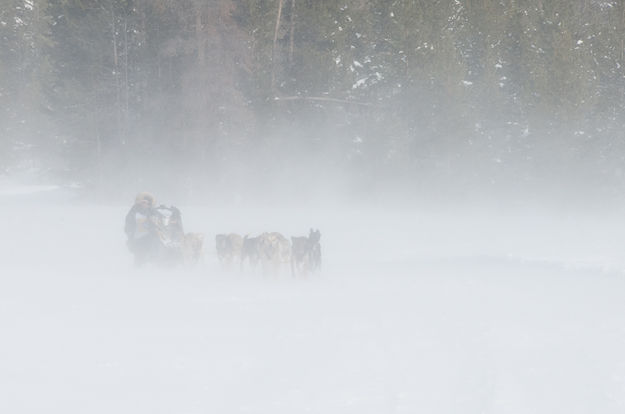 White out. Photo by Chris Havener.