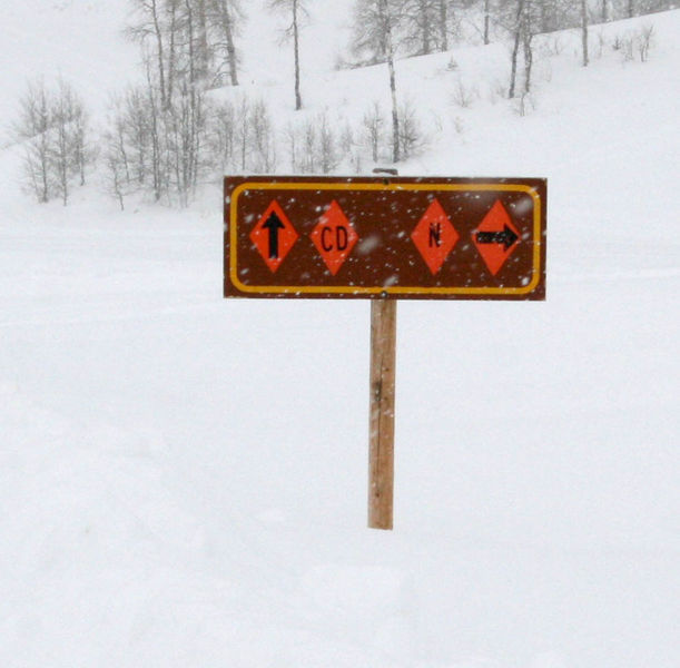 CD Snowmobile Trail. Photo by Dawn Ballou, Pinedale Online.