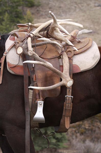 Packing antlers. Photo by by Mark Gocke, Wyoming Game and Fish Department.