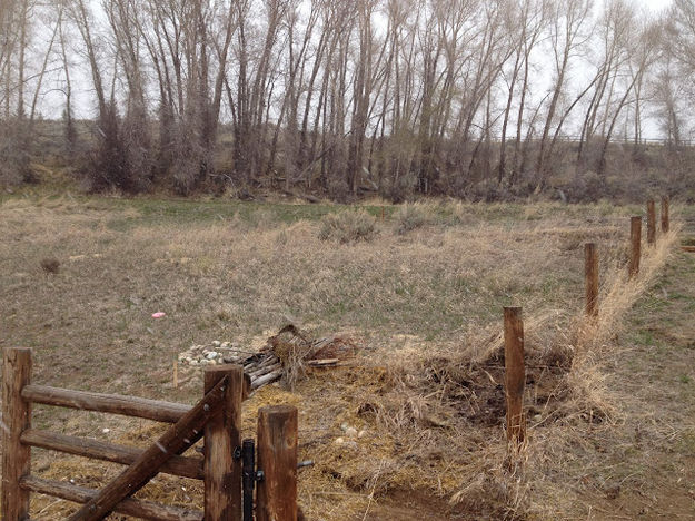 New fence. Photo by Ana Cuprill.