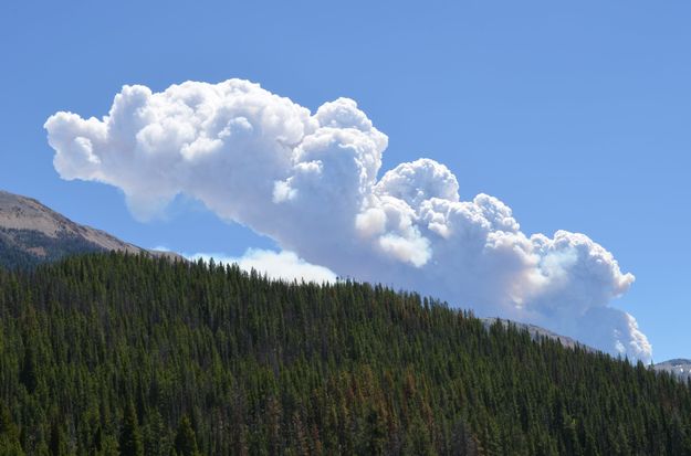 View from Grey's River. Photo by Ken Tanner.