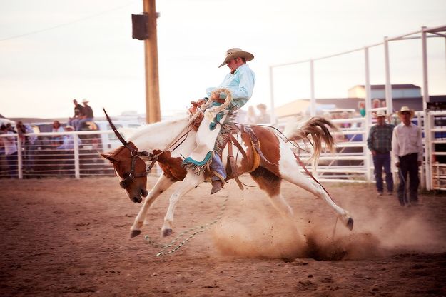 Hang on. Photo by Tara Bolgiano, Blushing Crow Photography.