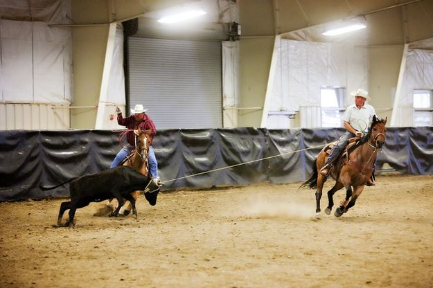 Team Roping. Photo by Tara Bolgiano, Blushing Crow Photography.