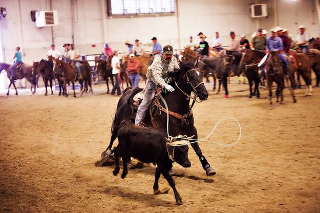 Over the horns. Photo by Tara Bolgiano, Blushing Crow Photography .