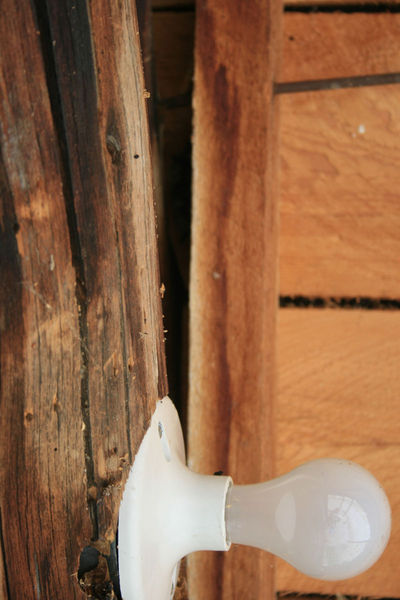 Bats in the ceiling. Photo by Dawn Ballou, Pinedale Online.