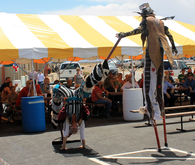 Limber. Photo by Dawn Ballou, Pinedale Online.