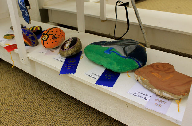 Painted rock contest. Photo by Dawn Ballou, Pinedale Online.