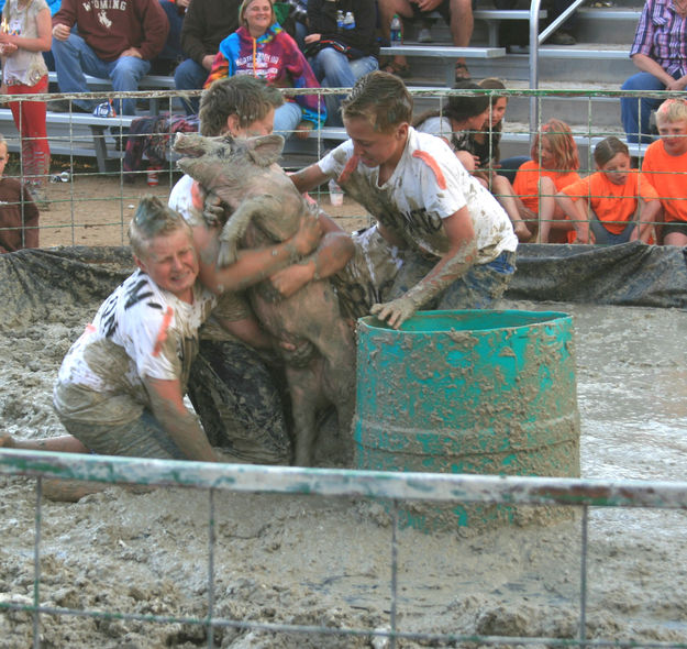 Pig Wrestling. Photo by Dawn Ballou, Pinedale Online.