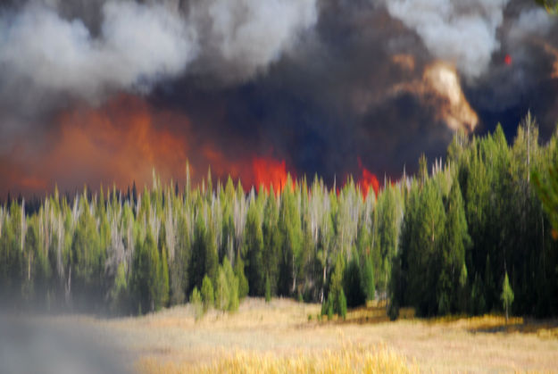 Fire up close. Photo by Julie Bain.