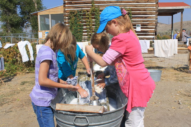 Scrub, scrub, scrub. Photo by Dawn Ballou, Pinedale Online.