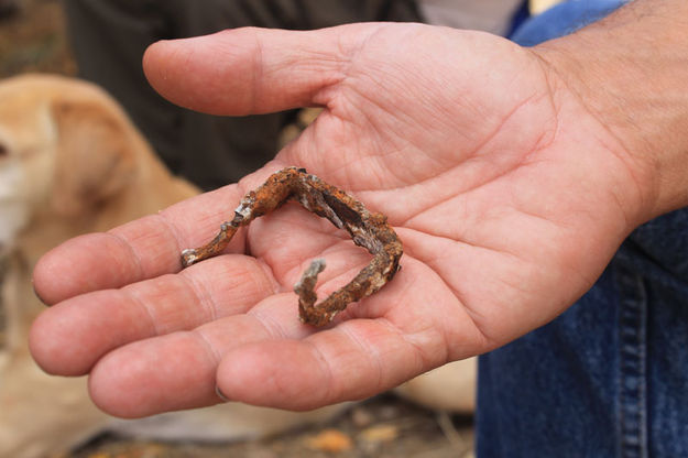 Wagon Staple. Photo by Dawn Ballou, Pinedale Online.