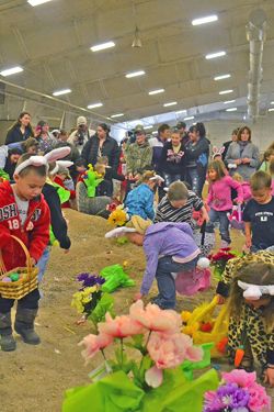 Here an egg, there an egg. Photo by Megan Neher, Sublette Examiner.