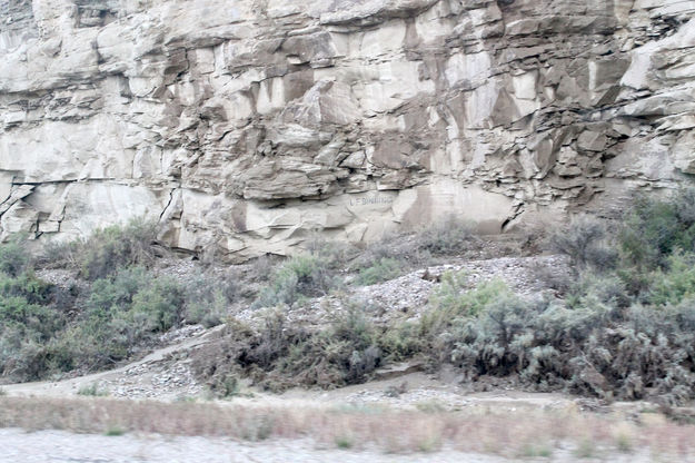 Muddy rocks. Photo by Dawn Ballou, Pinedale Online.