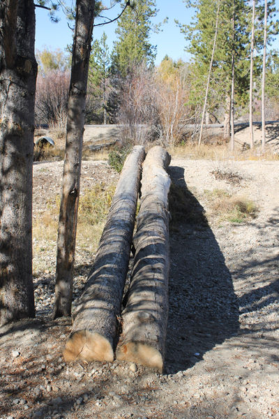 Log crossing bridge. Photo by Dawn Ballou, Pinedale Online.