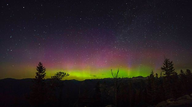 Aurora. Photo by Dave Bell.