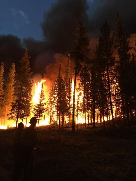 Night burn. Photo by Bridger-Teton National Forest.