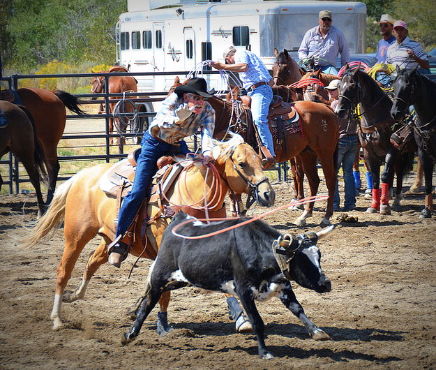 Mike Miller Heading. Photo by Terry Allen.