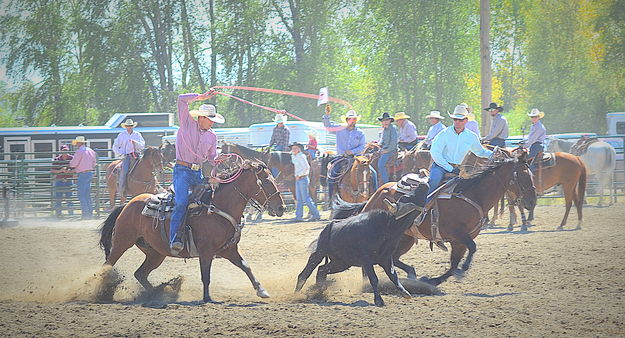 Head and Heel. Photo by Terry Allen.