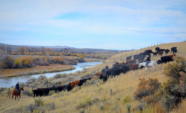 Pushing Along the New Fork River. Photo by Terry Allen.