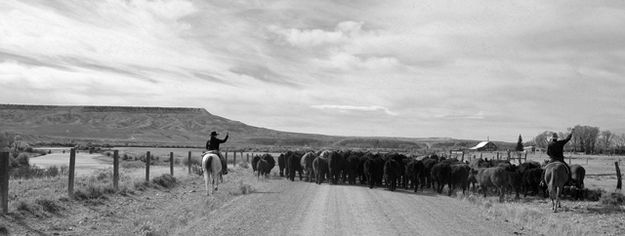 Pushing Toward the Buttes. Photo by Terry Allen.