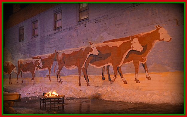 Bonfire for the Herd. Photo by Terry Allen.