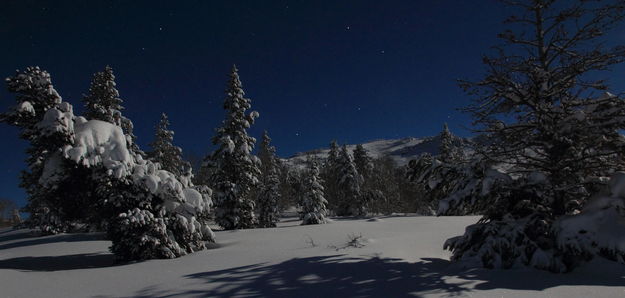 Kelly Park at night. Photo by Fred Pflughoft.