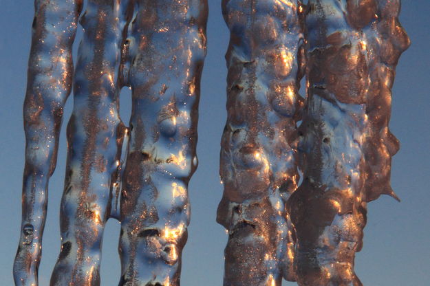 Flat icicles. Photo by Fred Pflughoft.