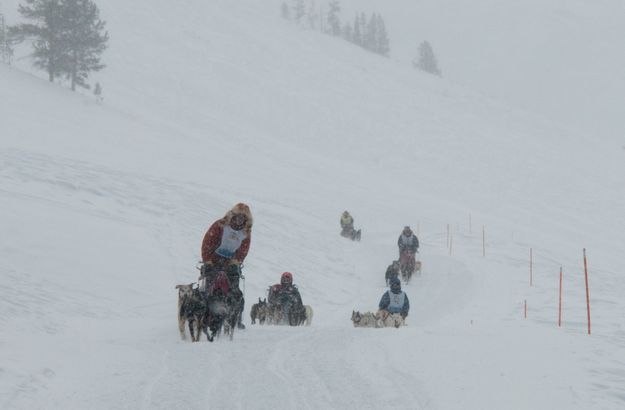 Along the hill. Photo by Chris Havener, Pedigree Stage Stop Race.