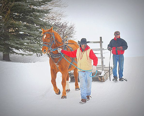 Walking Down the Hill. Photo by Terry Allen.