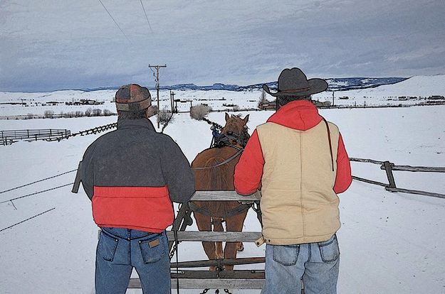 Out to Feed. Photo by Terry Allen.