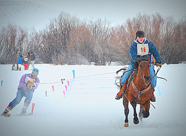 Valiant Horse. Photo by Terry Allen.