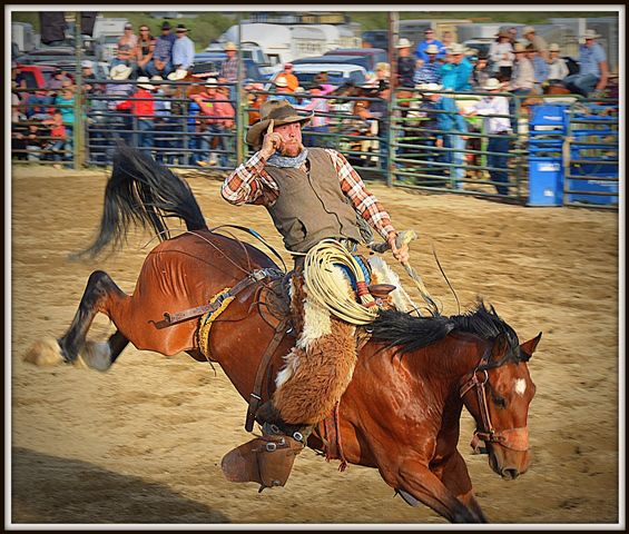 Phil Mac. Photo by Terry Allen.