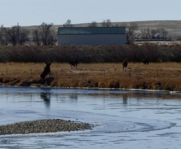 Too low here. Photo by Dawn Ballou, Pinedale Online.