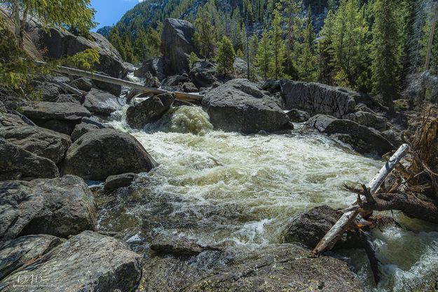 Boulder Creek. Photo by Dave Bell.